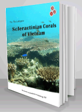 Scleractinian corals of Vietnam